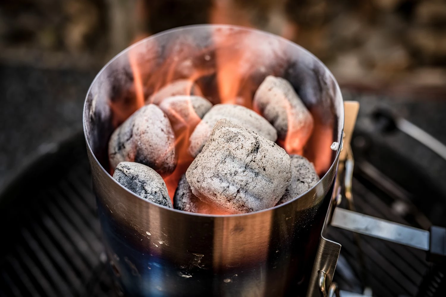 BlackSellig Beach Kokosbriketts 10 Kg 2 BlackSellig Beach Kokosbriketts 10 Kg – Bild 2