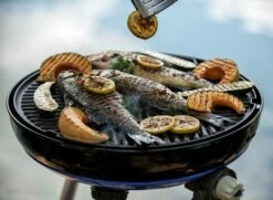 CADAC Camping Gasgrill Carri Chef 50 / BBQ Plancha + Dome - 30 Mbar 7 CADAC Camping Gasgrill Carri Chef 50 / BBQ Plancha + Dome - 30 Mbar -Grill Verkaufs-Shop CADAC Carri Chef 50 30mbar Plancha