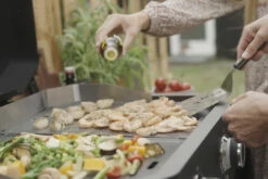 COZZE Plancha 600 / Plancha Grill Mit 2 Gusseisen Grillplatten 19 COZZE Plancha 600 / Plancha Grill Mit 2 Gusseisen Grillplatten -Grill Verkaufs-Shop COZZE Plancha 600 Lifestyle Grillgut