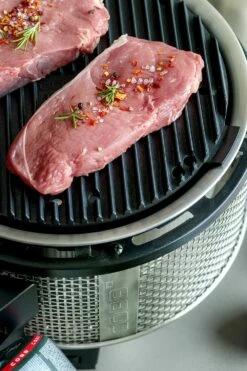 Cobb Grill Premier Gas Deluxe 2.0 - Gasgrill - Kartuschenanschluss - Modell 2023 15 Cobb Grill Premier Gas Deluxe 2.0 - Gasgrill - Kartuschenanschluss - Modell 2023 -Grill Verkaufs-Shop Cobb Grasgrill Premier Deluxe 2 Griddle Grillplatte