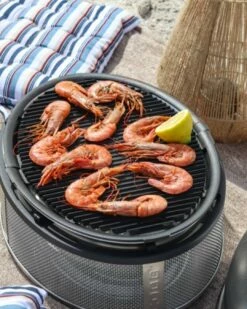 Cobb Grill Supreme Deluxe 2.0 Holzkohlegrill - Modell 2023 13 Cobb Grill Supreme Deluxe 2.0 Holzkohlegrill - Modell 2023 -Grill Verkaufs-Shop Cobb Grill Supreme Deluxe Griddle Grillplatte