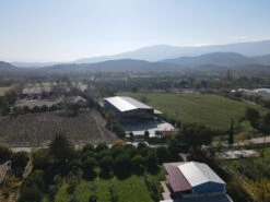 Grillfürst Feinkost - Olivenöl Niz Olive Memecik - Nativ Extra - Mehrfach International Preisgekrönt - 500ml -Grill Verkaufs-Shop Niz Olive Produktionsstaette bestes Olivenoel weltwet