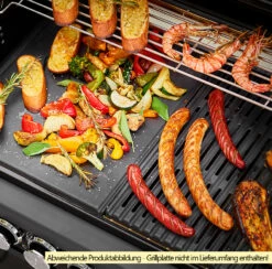 Rösle Gasgrill Magnum PRO G4-S - X-DEAL Inkl. Abdeckhaube, Gusseisen Grillplatte Und Drehspieß - Modell 2023 25 Rösle Gasgrill Magnum PRO G4-S - X-DEAL Inkl. Abdeckhaube, Gusseisen Grillplatte Und Drehspieß - Modell 2023 -Grill Verkaufs-Shop Roesle Magnum Pro G4 S Grillflaeche 2