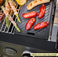 Rösle Gasgrill Videro Pro G2-P Campinggrill -Grill Verkaufs-Shop Roesle Videro PRO G2 P Gasgrill Beispiel mit Grillplatte