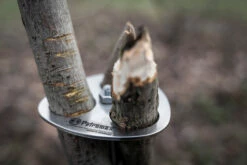 Petromax Dreibein-Ring 15 Petromax Dreibein-Ring -Grill Verkaufs-Shop petromax dreibeinring detail d ring