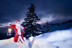 Petromax Petroleumlampe HK500/829 Chrom 37 Petromax Petroleumlampe HK500/829 Chrom -Grill Verkaufs-Shop petromax starklichtlampe hk500 px5c 20